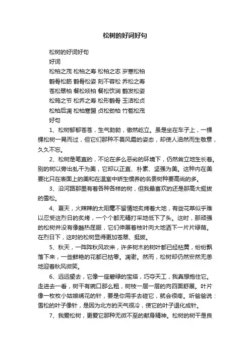松树的好词好句
