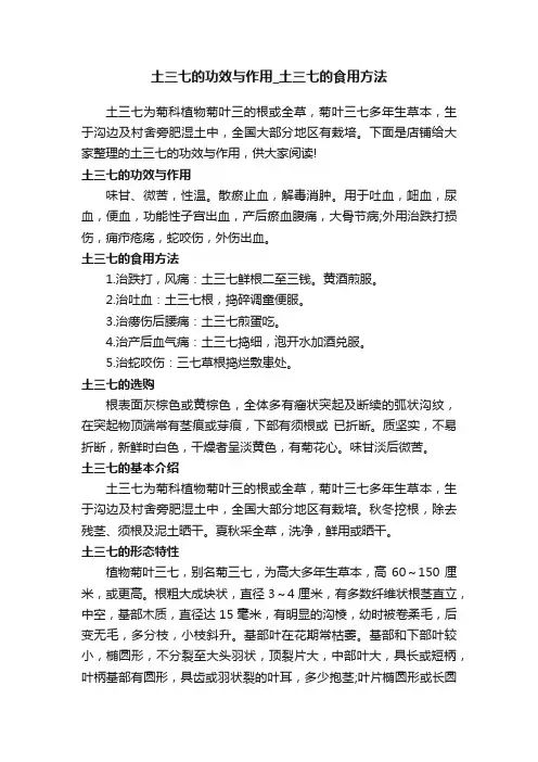 土三七的功效与作用_土三七的食用方法