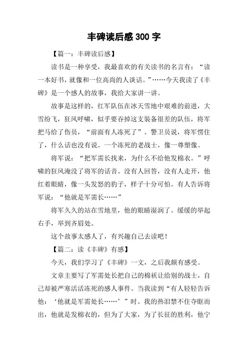 丰碑读后感300字