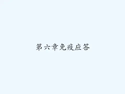 第六章免疫应答 PPT