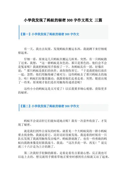 小学我发现了蚂蚁的秘密300字作文范文 三篇