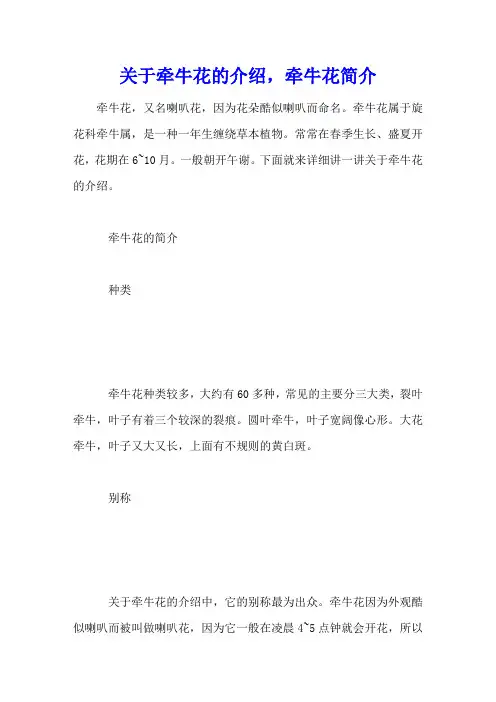 关于牵牛花的介绍,牵牛花简介