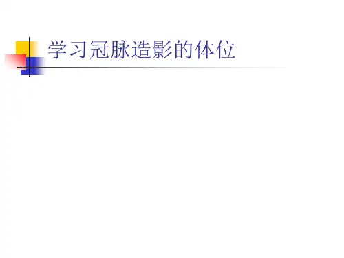 冠脉造影与 线解剖对照图 