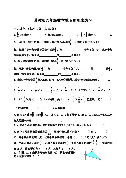 苏教版六年级数学第6周周末练习