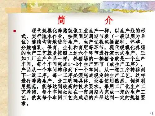 猪生产学-养猪生产工艺流程图PPT课件
