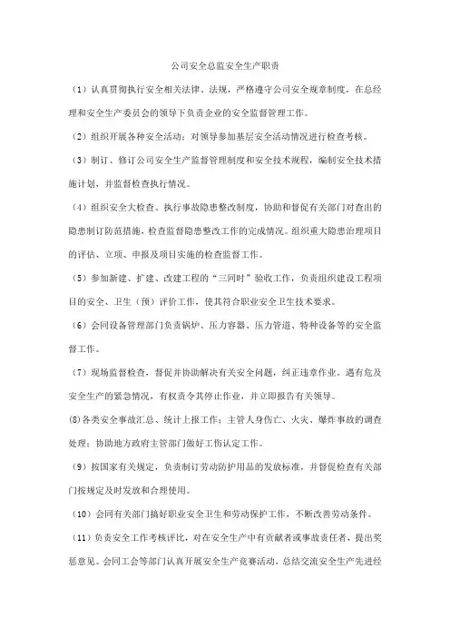 公司安全总监安全生产职责