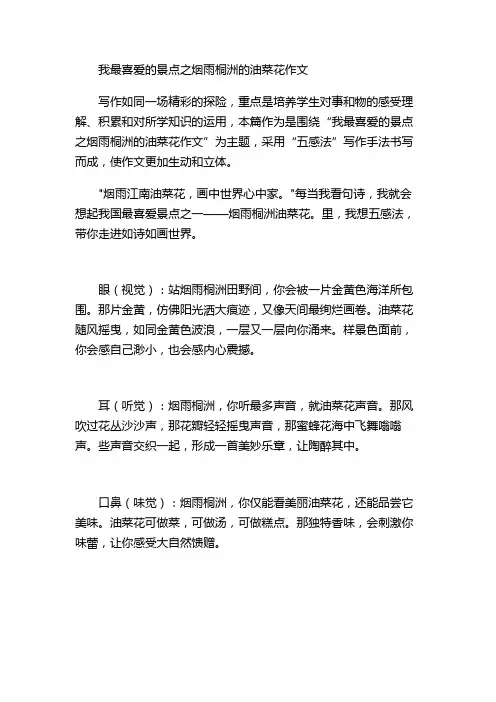 我最喜爱的景点之烟雨桐洲的油菜花作文