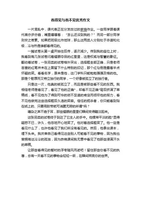 看得见与看不见优秀作文
