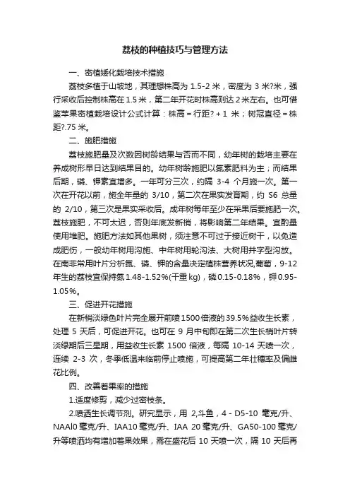 荔枝的种植技巧与管理方法
