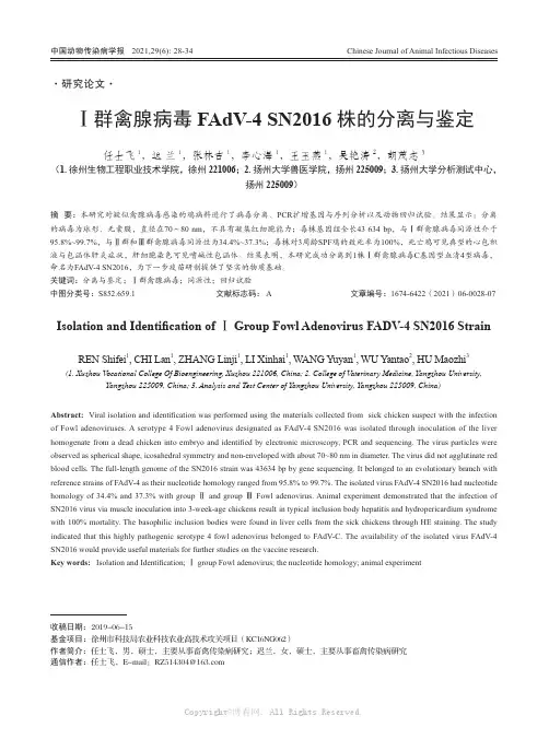 Ⅰ群禽腺病毒FAdV-4 SN2016株的分离与鉴定