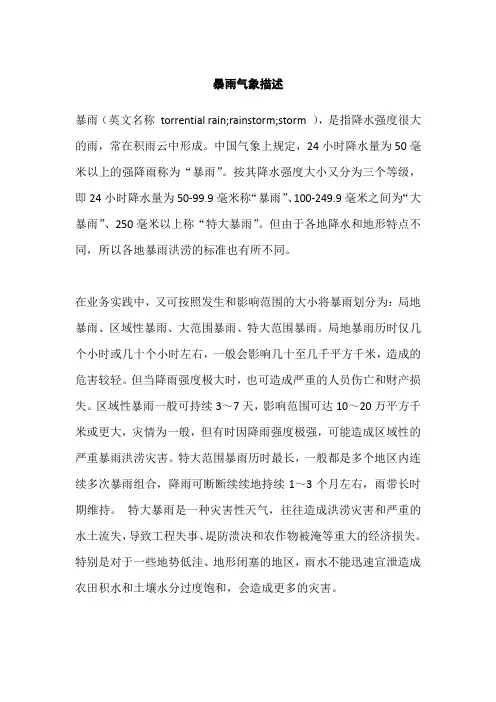 暴雨气象描述