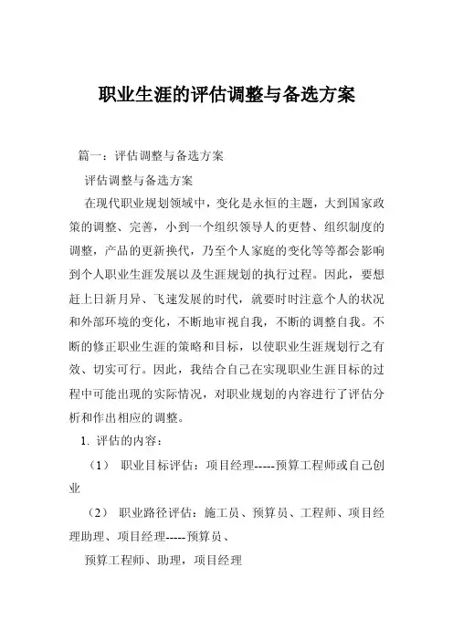 职业生涯的评估调整与备选方案
