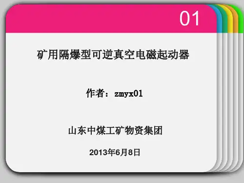 矿用隔爆型可逆真空电磁起动器