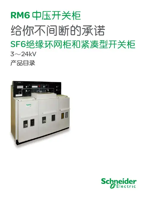 RM6(最新样本)