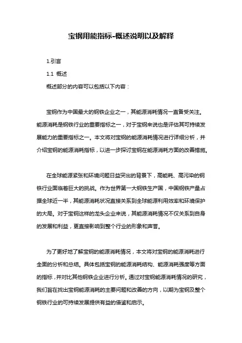 宝钢用能指标-概述说明以及解释