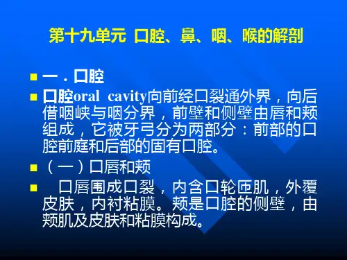 口腔、鼻、咽ppt课件