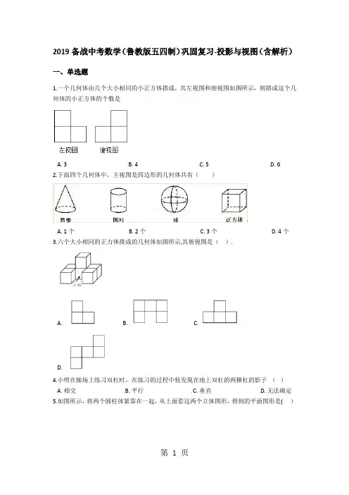 2019年备战中考数学(鲁教版五四制)巩固复习投影与视图(含解析)-文档资料