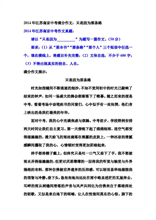 2014年江苏南京中考满分作文：只是因为那条路