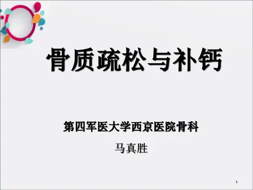 骨质疏松与补钙ppt课件