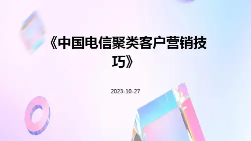 中国电信聚类客户营销技巧