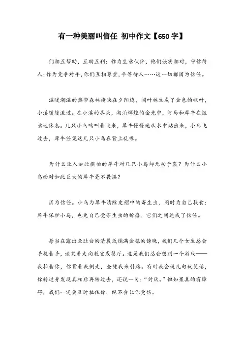 有一种美丽叫信任 初中作文【650字】