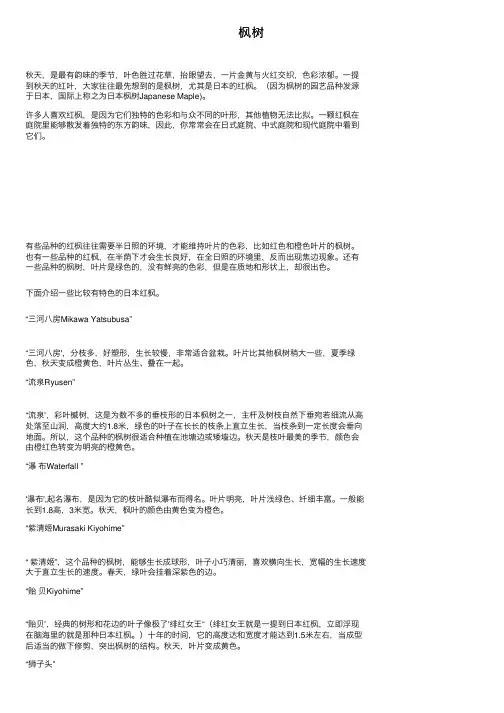 枫树——精选推荐