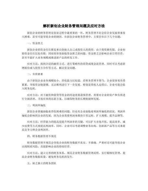 解析新创企业财务管理问题及应对方法