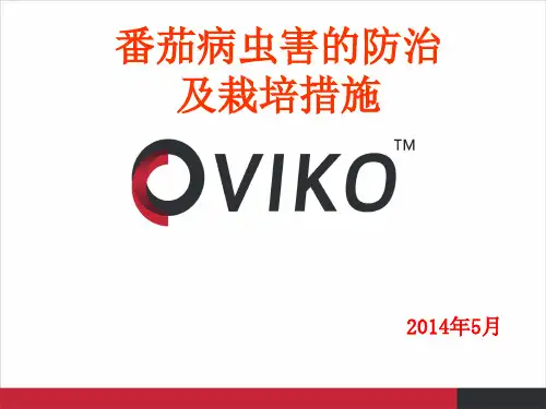 番茄病虫害的防治(荣和版)