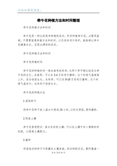 牵牛花种植方法和时间整理