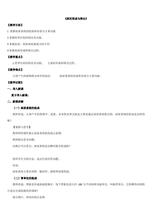 《尿的形成与排出》教案