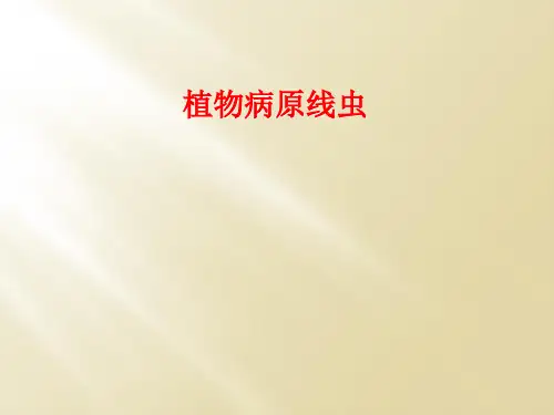 植物病原线虫