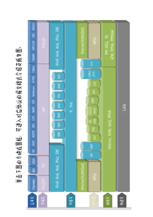 最详尽的各种协议报文及个字段分析