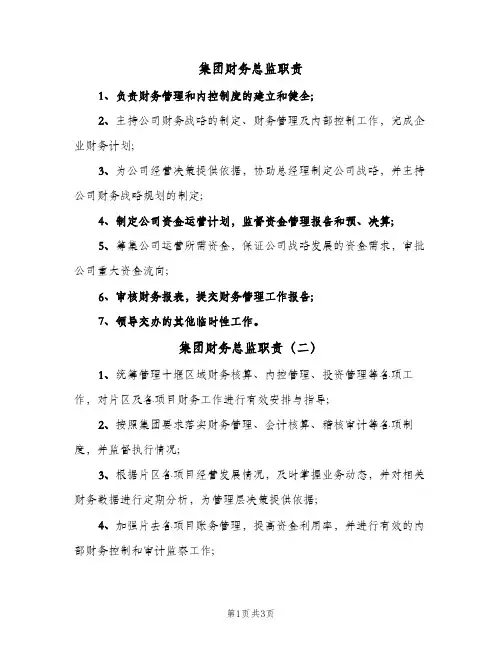集团财务总监职责(3篇)