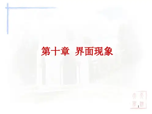 物理化学教学课件-第十章 界面现象