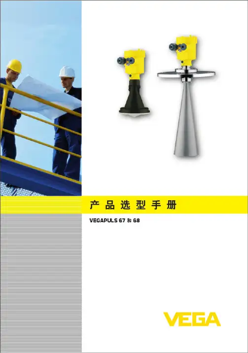 VEGAPULS67,68产品说明书新