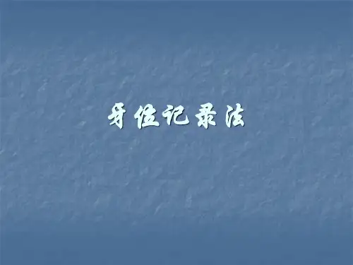 牙位记录