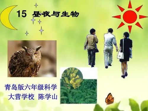 青岛小学科学六上《15、昼夜与生物》PPT课件 (7)