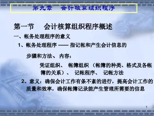 会计核算组织程序概要