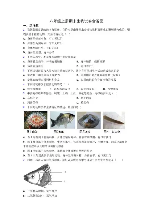 八年级上册期末生物试卷含答案