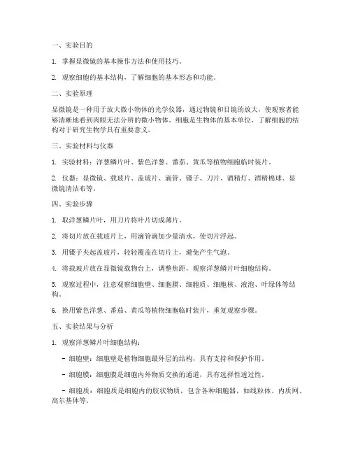 显微镜实验报告