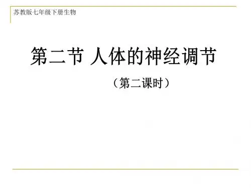 苏教版生物七年下12.2 人体的神经调节 (共33张PPT)