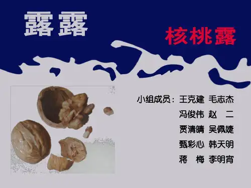 露露核桃露市场分析