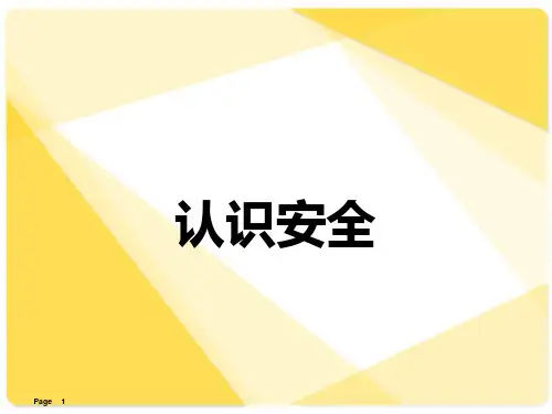 中华人民共和国安全生产法PPT课件
