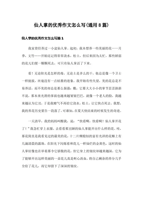 仙人掌的优秀作文怎么写(通用8篇)