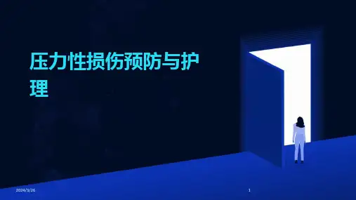 (2024年)压力性损伤预防与护理