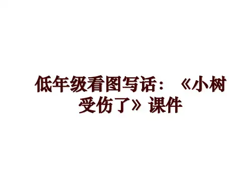 低年级看图写话：《小树受伤了》课件