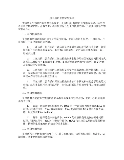 蛋白质的生物学知识点
