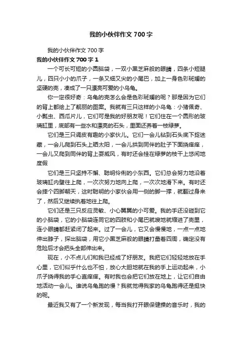 我的小伙伴作文700字