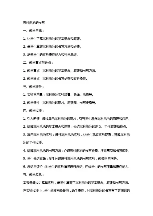 燃料电池的书写(课教案)