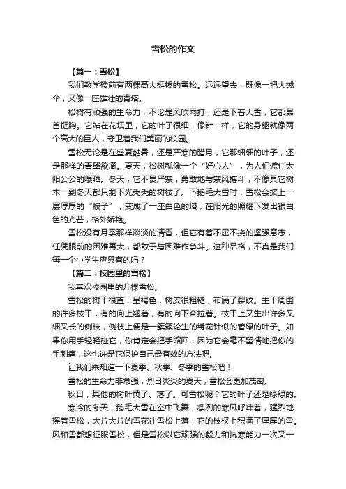 关于雪松的作文8篇